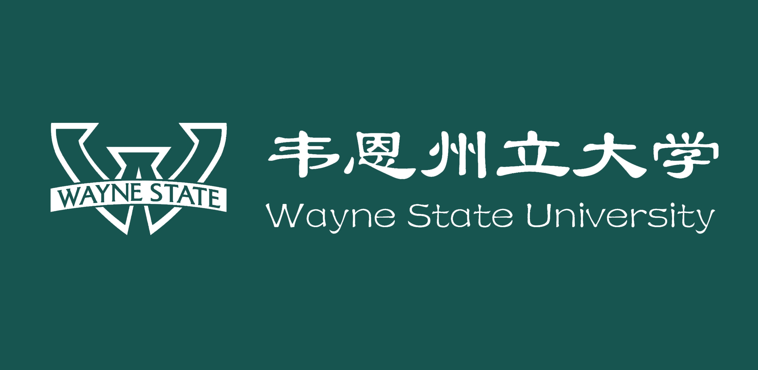 韦恩州立大学
